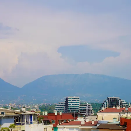 Haris Tirana