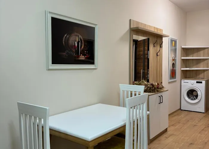 公寓 Haris 地拉那